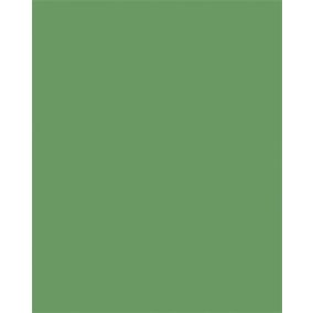 Színes papír, A3, 130 g, 50 lap, FOLIA, mohazöld