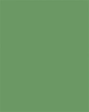 Színes papír, A4, 130 g, 100 lap, FOLIA, mohazöld