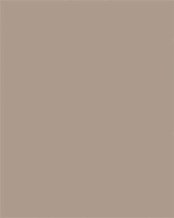 Színes papír, A4, 130 g, 100 lap, FOLIA, cappuccino