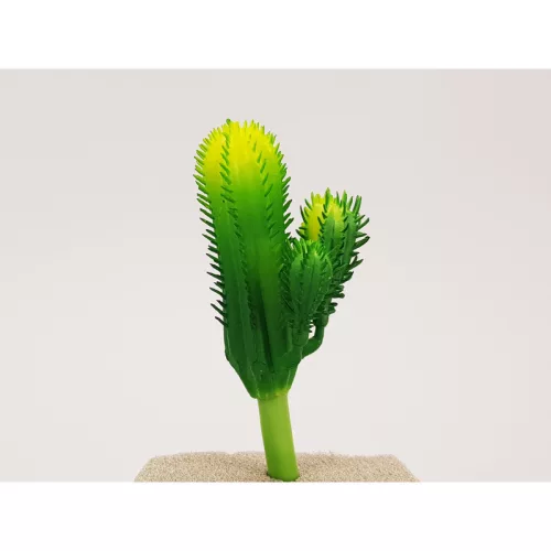 Kaktusz 12cm 6db OKOSÁR!