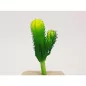 Kaktusz 12cm 6db OKOSÁR!
