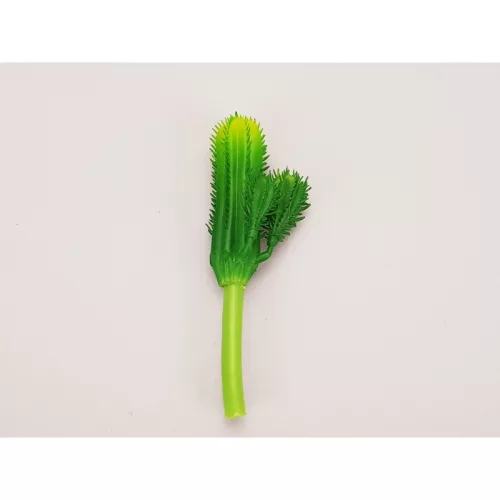 Kaktusz 12cm 6db OKOSÁR!