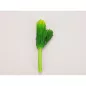 Kaktusz 12cm 6db OKOSÁR!