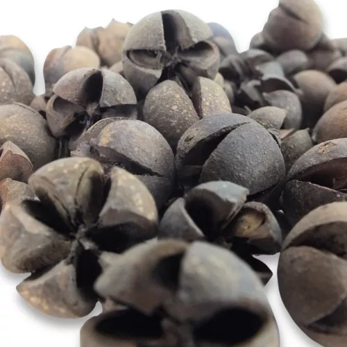 Natúr Tulipán termés 500gr OKOSÁR!