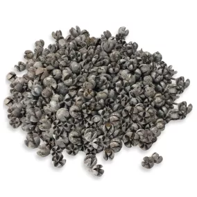 Tulipán termés 500gr - OKOSÁR!