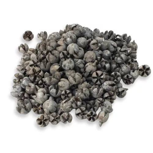 Tulipán termés 500gr - OKOSÁR!