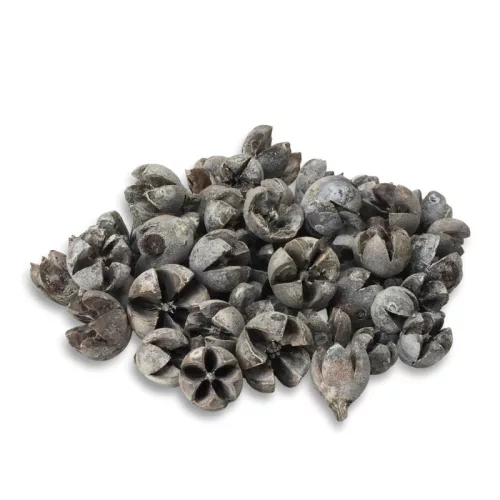 Tulipán termés 500gr - OKOSÁR!