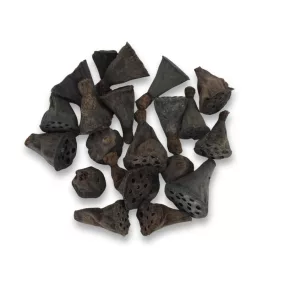 Lótusz double mini termés csomag 20db/csom