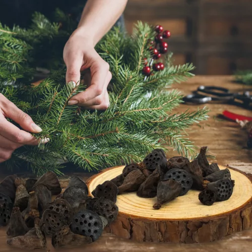 Lótusz double mini termés csomag 20db/csom