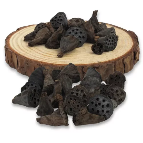 Lótusz double mini termés csomag 20db/csom