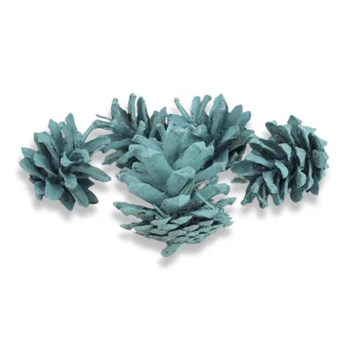 Rózsatoboz aqua 5db/csomag