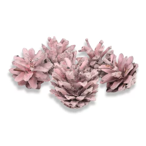 Rózsatoboz rózsaszín 5db/csomag