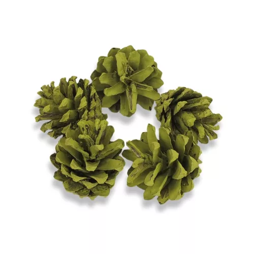 Rózsatoboz oliva 5db/csomag