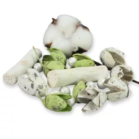 Kincsgyűjtő terméscsomag - menta