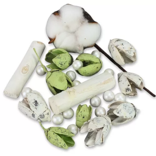 Kincsgyűjtő terméscsomag - menta