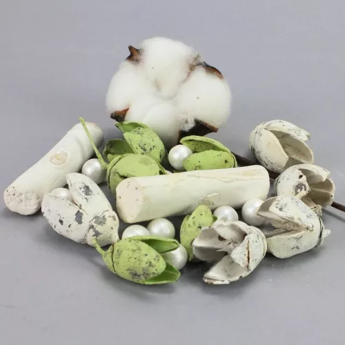 Kincsgyűjtő terméscsomag - menta