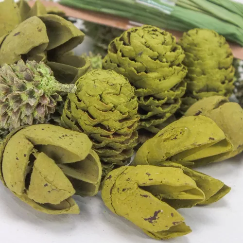 Kikelet terméscsomag raffiával - Oliva