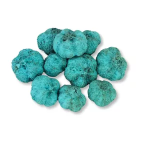 Termés fokhagyma aqua zöld 10db/cs