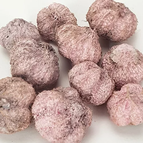 Termés fokhagyma rózsaszín 10db/cs