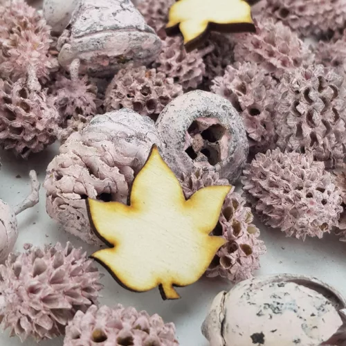 Természetjáró gyűjtemény rózsaszín