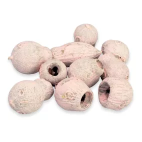 Eukalyptus Bell Gum halvány rózsaszín