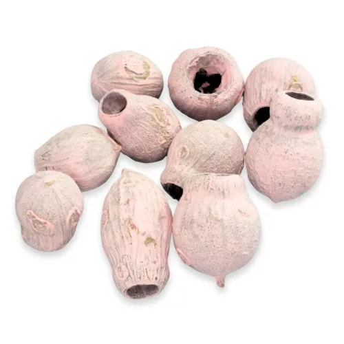 Eukalyptus Bell Gum halvány rózsaszín