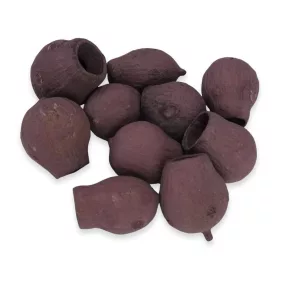 Eukalyptus Bell Gum szeder