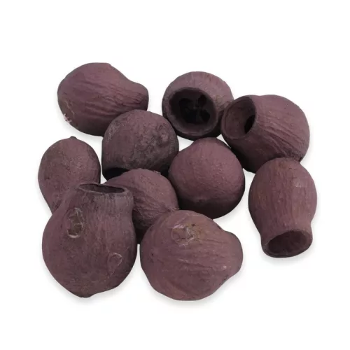 Eukalyptus Bell Gum szeder