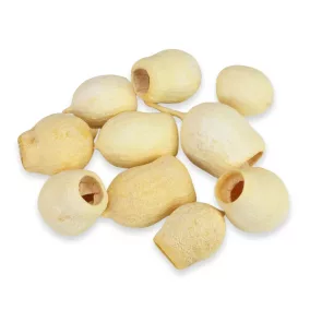 Eukalyptus Bell Gum fehérített