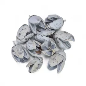 Bakuli termés világoskék 10db/csomag