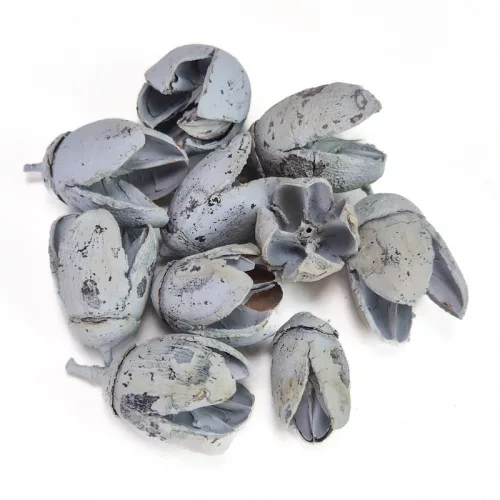 Bakuli termés világoskék 10db/csomag