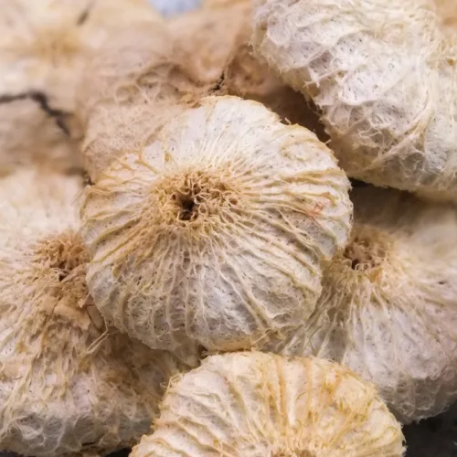 Fokhagyma alakú termés nagy 10db/csomag