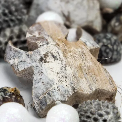 Karácsonyi angyal terméscsomag