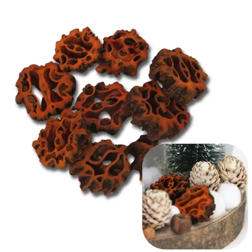 Dió termés barna 10db/csomag