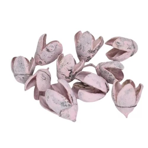 Terméscsomag bakuli rózsaszín 10db/csomag