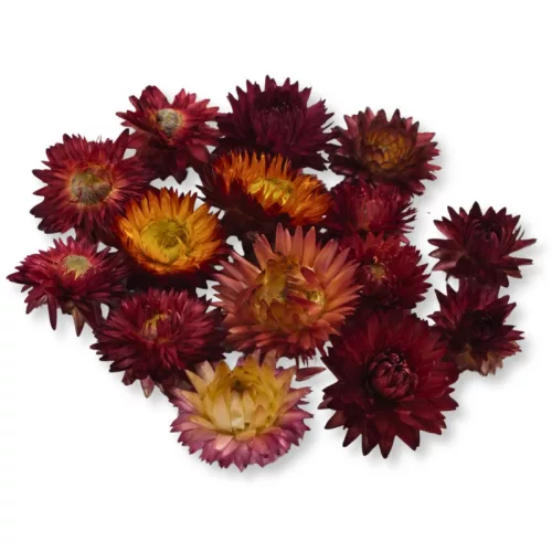 Szalma rózsa piros 15db/csomag