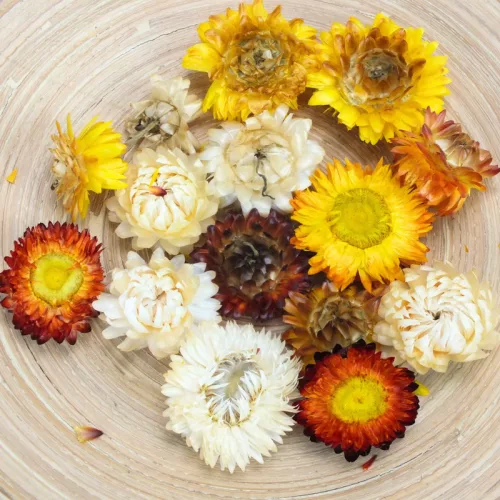 Szalma rózsa narancs 15db/csomag