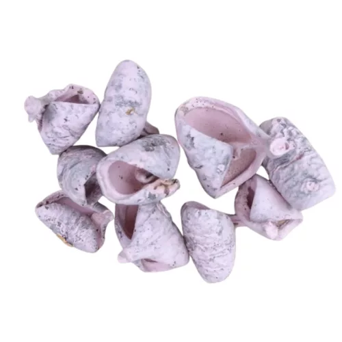 Rózsaszín csavart termés 10db/csomag