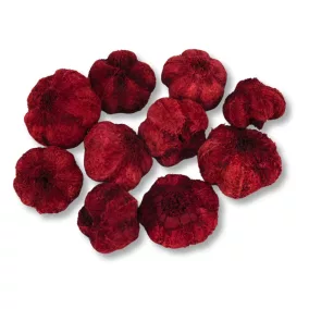 Termés fokhagyma piros 10db/csomag