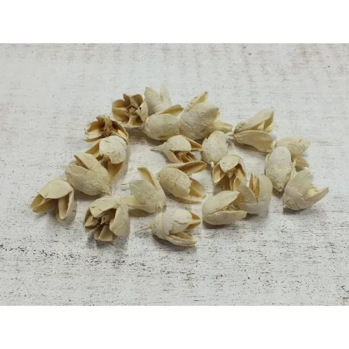 Bakuli fehérített termés 10db/csomag