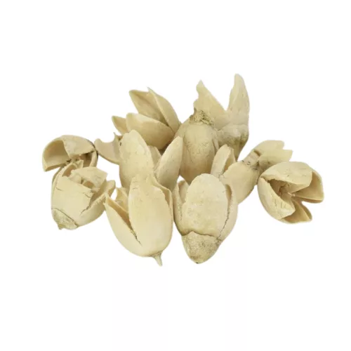 Bakuli fehérített termés 10db/csomag