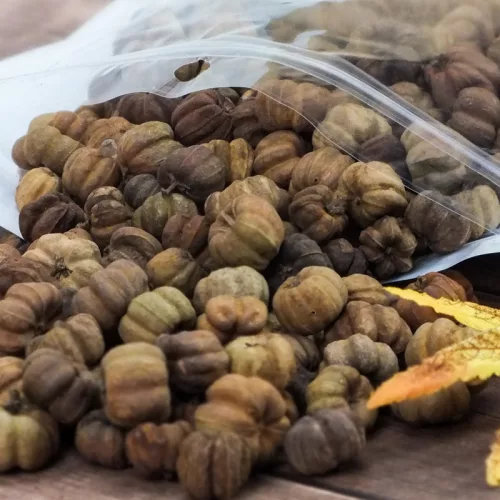 Tökbogyó barna 100 gramm/csom (kb. 320 db) - OKOSÁR!