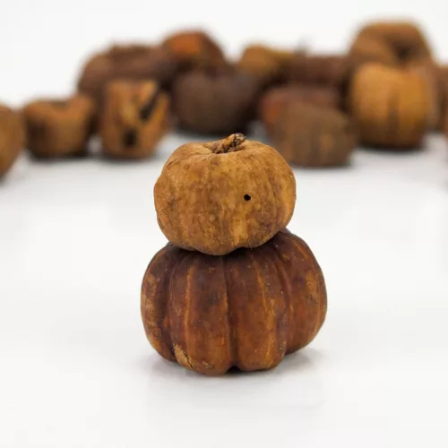 Tökbogyó barna 100 gramm/csom (kb. 320 db) - OKOSÁR!