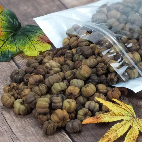 Tökbogyó barna 100 gramm/csom (kb. 320 db) - OKOSÁR!