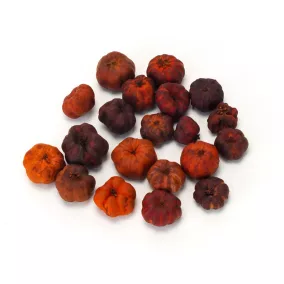 Tökbogyó narancs 20db/csomag