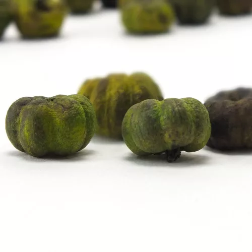 Tökbogyó zöld 20db/csomag