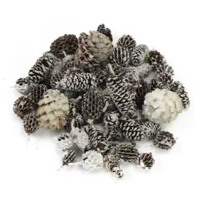 Terméscsomag winter