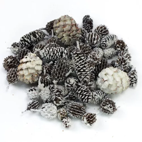 Terméscsomag winter