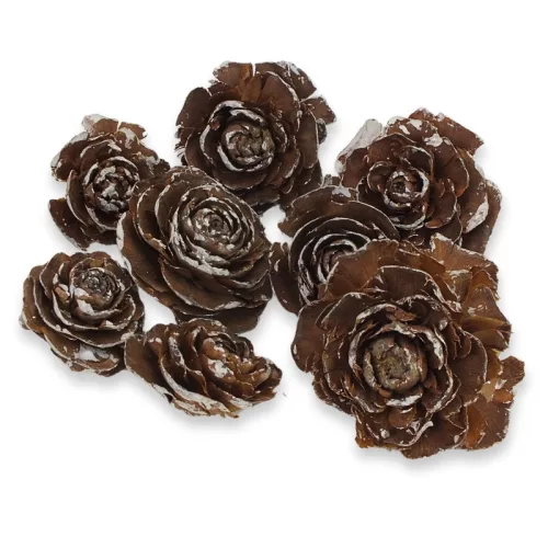 Cédrus rózsa havas 8db/csomag