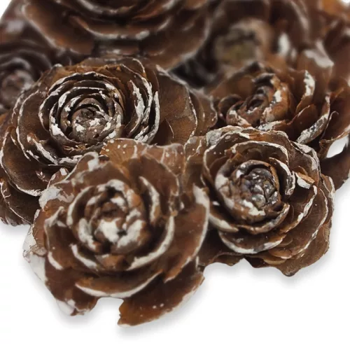 Cédrus rózsa havas 8db/csomag